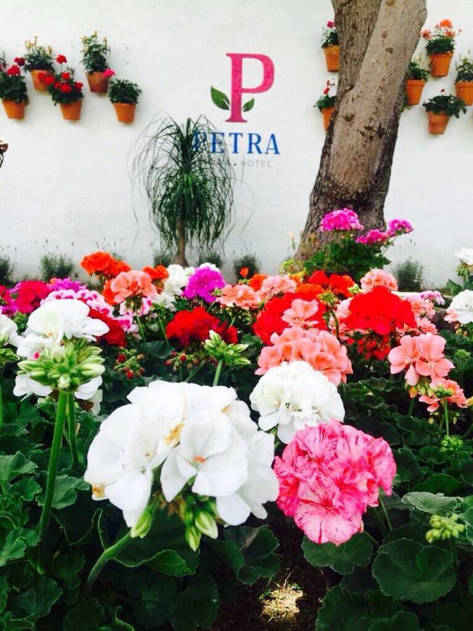 Hotel Petra 산미겔데아옌데 외부 사진