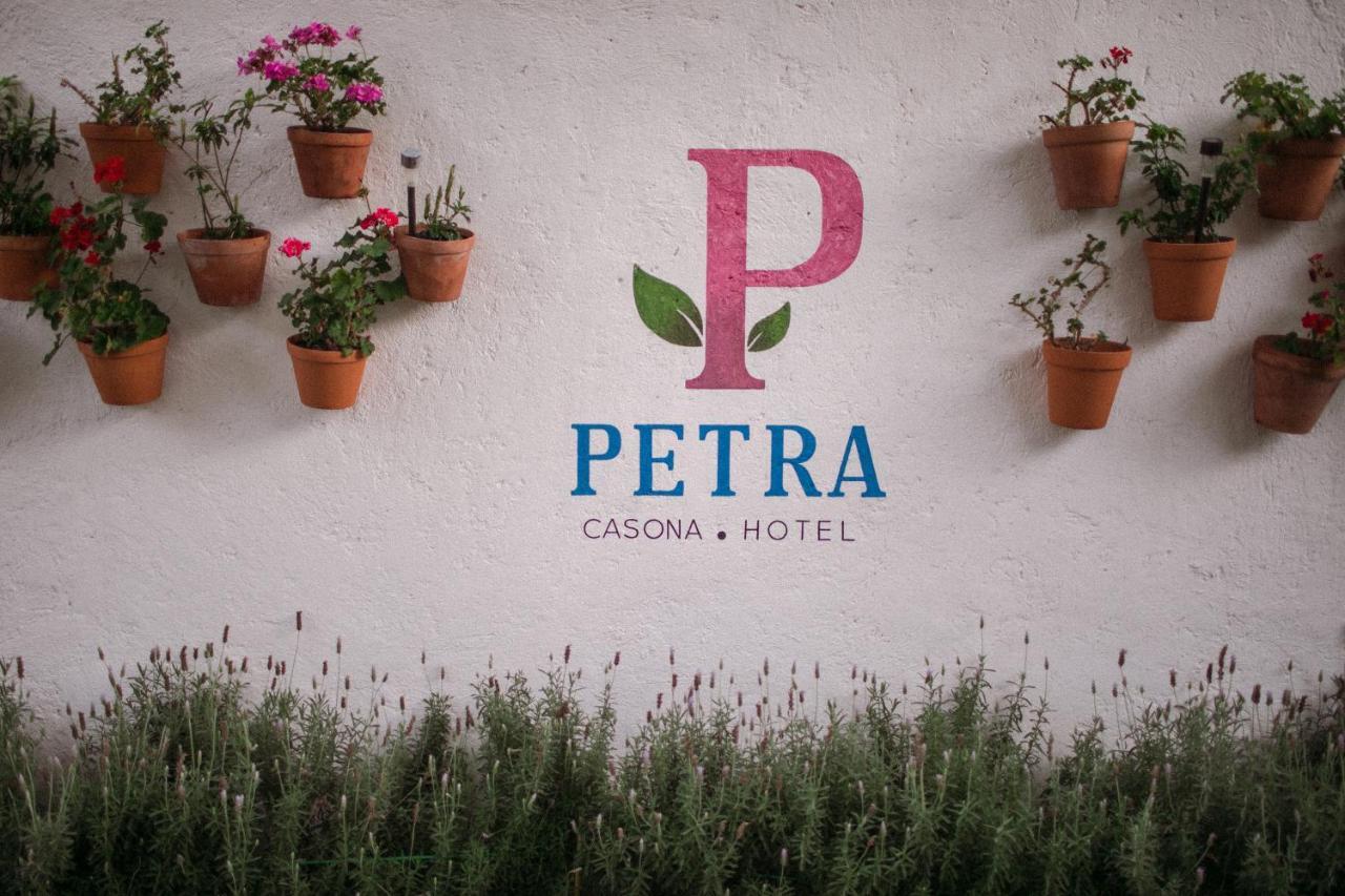 Hotel Petra 산미겔데아옌데 외부 사진