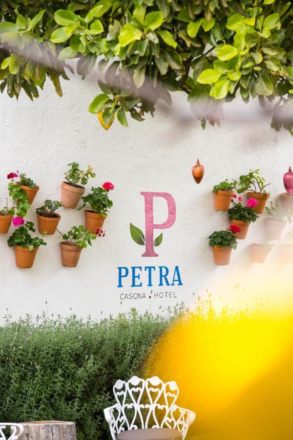 Hotel Petra 산미겔데아옌데 외부 사진